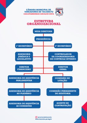 Estrutura Organizacional 
